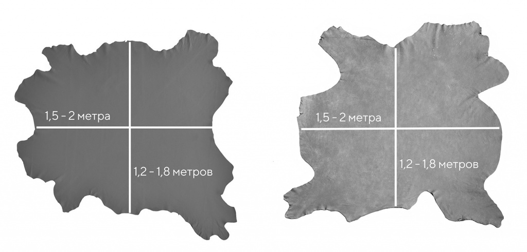 Шкура.jpg